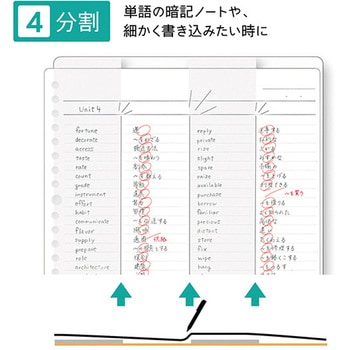 STAD下敷き クツワ