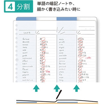 STAD下敷き クツワ