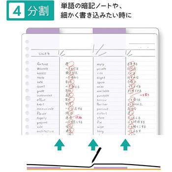 STAD下敷き クツワ