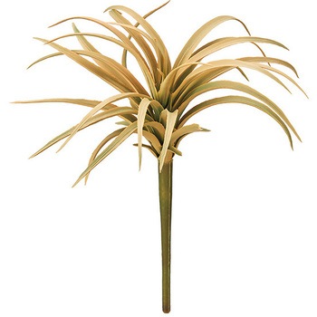 FG301044-013 �\�A���e�B�����W�A MAGIQ(������) 12195778