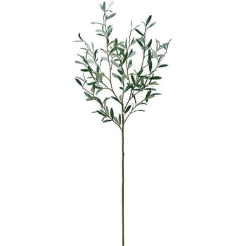 オリーブブランチ MAGIQ(東京堂)