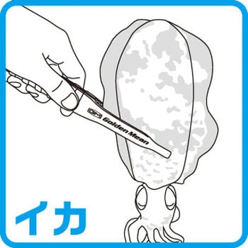 GMキャプチャーグリップ GoldenMean(ゴールデンミーン)