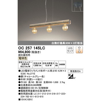 OC257145LC ペンダントライト 1台 ODELIC(オーデリック) 【通販