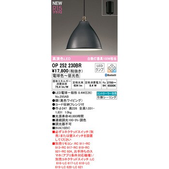 ODELIC 【OL291334BR】オーデリック 和風照明 100W 白熱灯器具 LED