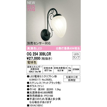 ポーチライト ODELIC(オーデリック)