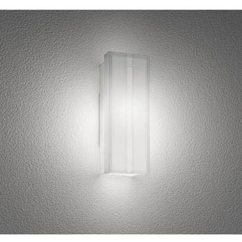 OG254740NR |[`Cg ODELIC(I[fbN) 12227156