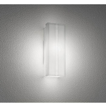 OG254740WR |[`Cg ODELIC(I[fbN) 12227165