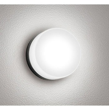 OG254982NR |[`Cg ODELIC(I[fbN) d5W F   OG254982NR 12228854