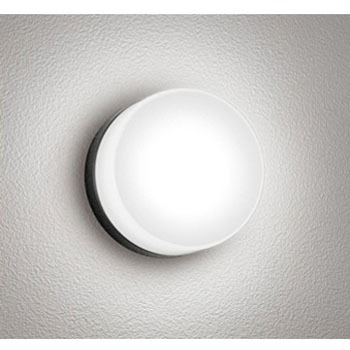 OG254982WR |[`Cg ODELIC(I[fbN) d5W F   OG254982WR 12228870