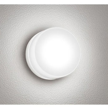 OG254983WR |[`Cg ODELIC(I[fbN) d5W F   OG254983WR 12228897