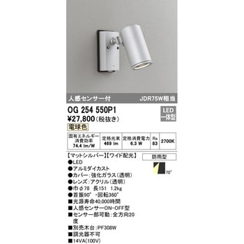 人感センサー付エクステリアスポットライト ODELIC(オーデリック)