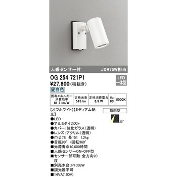 人感センサー付エクステリアスポットライト ODELIC(オーデリック)