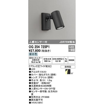 人感センサー付エクステリアスポットライト ODELIC(オーデリック)