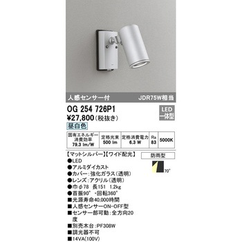 人感センサー付エクステリアスポットライト ODELIC(オーデリック)