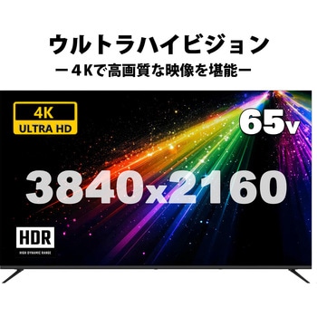 <アペックス>65型4K対応液晶モニター(4K対応/HDMI3系統搭載/壁掛け対応) APEX