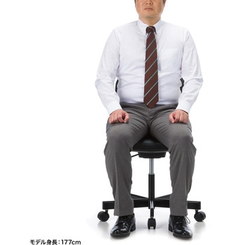チェア_導電タイプ サンワサプライ