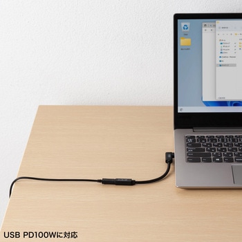 USB TypeC延長ケーブル_USB 5Gbps_PD100W対応 サンワサプライ