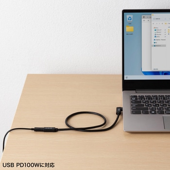 USB TypeC延長ケーブル_USB 5Gbps_PD100W対応 サンワサプライ