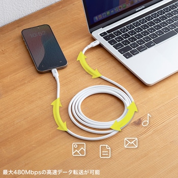 USB TypeCケーブル_USB2.0_PD240W対応 サンワサプライ