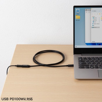 USB TypeC延長ケーブル_USB 5Gbps_PD100W対応 サンワサプライ