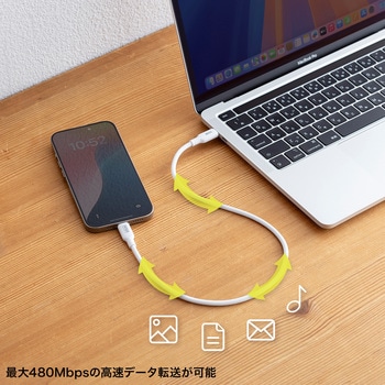 USB TypeCケーブル_USB2.0_PD240W対応 サンワサプライ