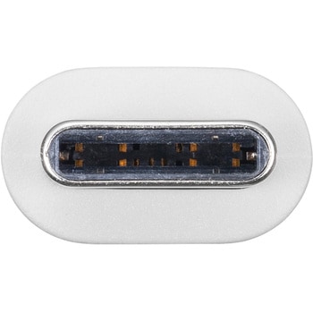USB TypeC-Aケーブル_USB2.0 サンワサプライ
