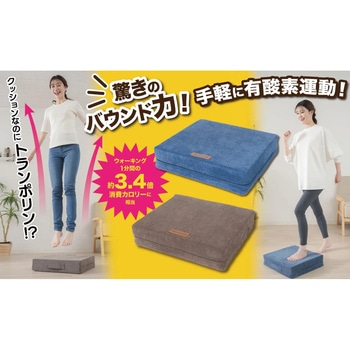 体感ぴょんぴょんホップステッパースリム NEEDS LABO