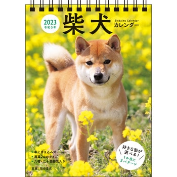 23 柴犬カレンダー 卓上書き込み式 B6タテ 1冊 永岡書店 通販モノタロウ