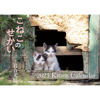 64384 こねこのせかい 2023 Kitten Calendar 永岡書店