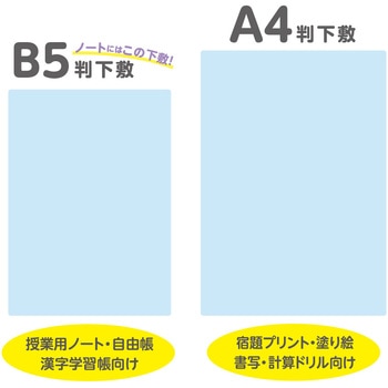 透明カラーのしっかりシタ字キ B5判 共栄プラスチック