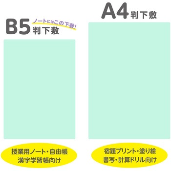 透明カラーのしっかりシタ字キ B5判 共栄プラスチック