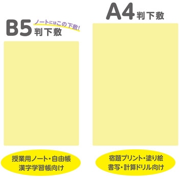 透明カラーのしっかりシタ字キ B5判 共栄プラスチック