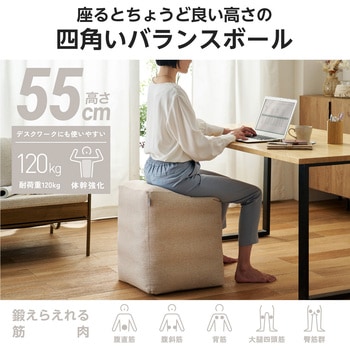 バランスボール 四角い 椅子 チェア W40×D43×H55cm 耐荷重120kg 専用カバー/ポンプ付き 簡単収納 エレコム