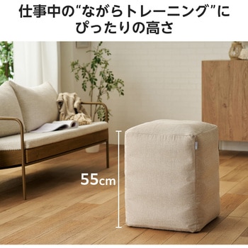 バランスボール 四角い 椅子 チェア W40×D43×H55cm 耐荷重120kg 専用カバー/ポンプ付き 簡単収納 エレコム