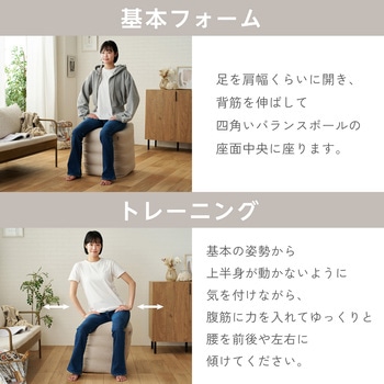 バランスボール 四角い 椅子 チェア W40×D43×H55cm 耐荷重120kg 専用カバー/ポンプ付き 簡単収納 エレコム