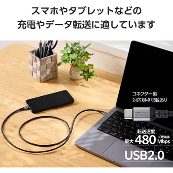 タイプCケーブル 【USB Type C to C】 PD 100W 急速充電 高耐久 ナイロンメッシュ アルミコネクタ エレコム