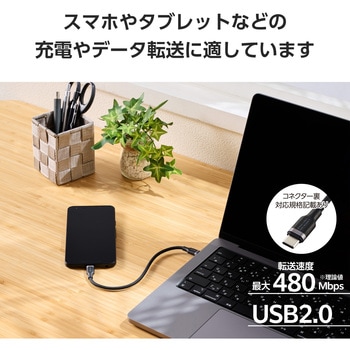タイプCケーブル 【USB Type C to C】 PD 100W 急速充電 シリコン素材 やわらかい アルミコネクタ エレコム