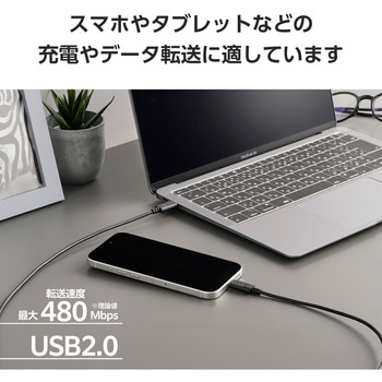 タイプCケーブル 2本セット 【USB Type C to C】 PD 60W 急速充電 データ転送 充電ケーブル エレコム