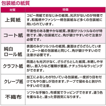 包装紙10枚ロール クリスマス柄 半才判 包装部(ササガワ)
