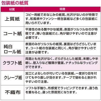 包装紙10枚ロール クリスマス柄 半才判 包装部(ササガワ)