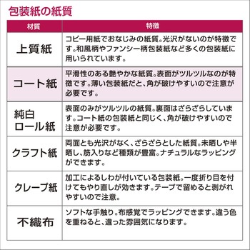 包装紙10枚ロール クリスマス柄 半才判 包装部(ササガワ)