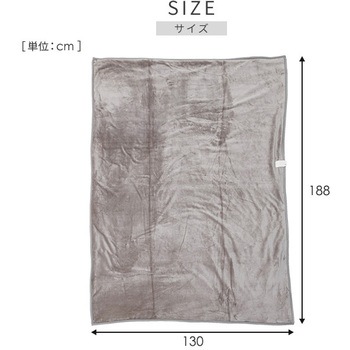 YKSG-F42(GG/BR) フランネル電気毛布「寝る消臭元」 1枚 YAMAZEN(山善