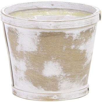 絵付け 鉢 透明鉢《 NEgamieru 》箱80サイズ Cセット | 花森家-2号店-