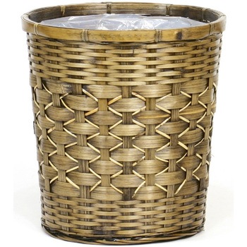 228-08K �s�[���o���u�[ ���R(�����r�j�[���t) SG Wonder zone 12350250