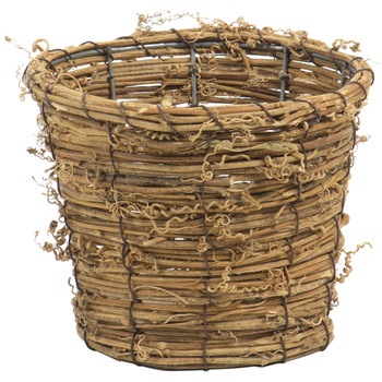 617-40D ヒゲヅルバイン SG Wonder zone 12350496