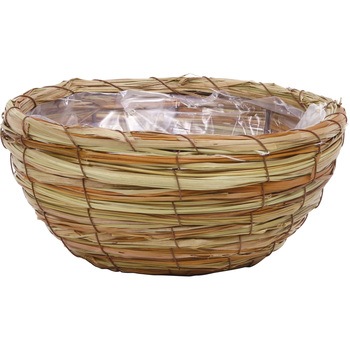 372-007A OXoXPbg{[^ X(rj[t) SG Wonder zone ~bNXF 12350514