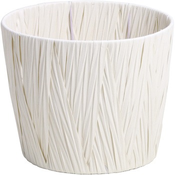 560-60DW PENX҂ _ SG Wonder zone zCgF 6pTCY  560-60DW 12350995