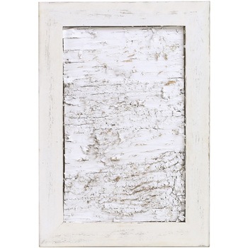 739-030 �E�b�h�t���[�������w�t SG Wonder zone 12353138