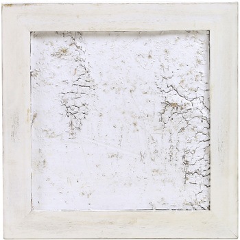 739-031 �E�b�h�t���[�������w�t SG Wonder zone 12353147