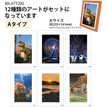 飾るアート 非常用トイレ(大) 10回分+アートポスター12種セット ブレイン